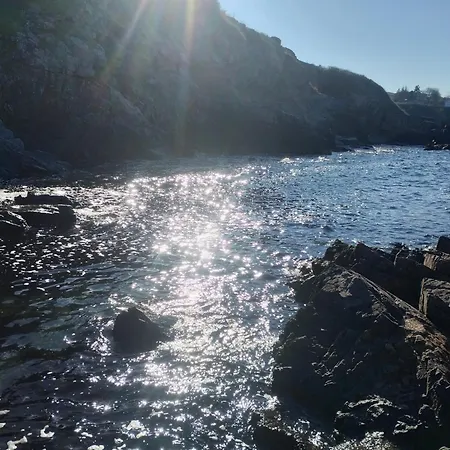 Sea View סוזופול